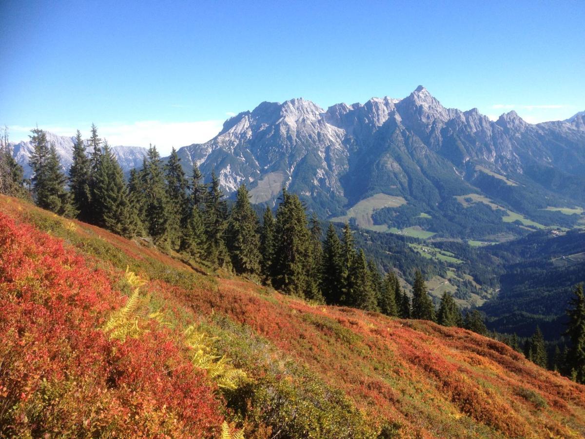 Pension Aberger Saalbach-Hinterglemm Luaran gambar